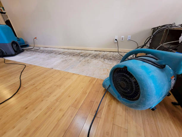 Professional Water Damage Repair technician working in Mount Vernon, IN